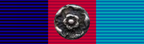The 1939-1945 Star - The Bomber Command Clasp Rosette