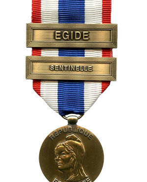 The Medal for the Military Protection of the Territory