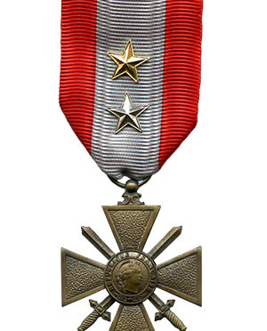 The War Cross for Foreign Operational Theaters