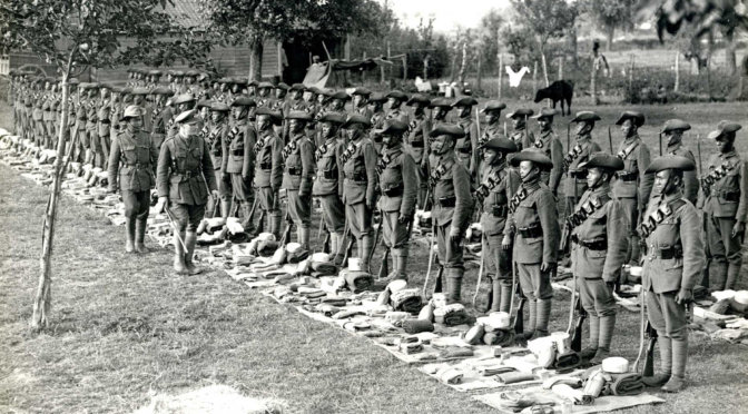 Colonial Military Involvement in World War I