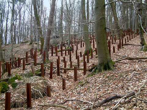 Anti-tank rails at the Casemate number 9 of the Hochwald ditch - Secteur Fortifié de Haguenau. Source: Wikipedia.