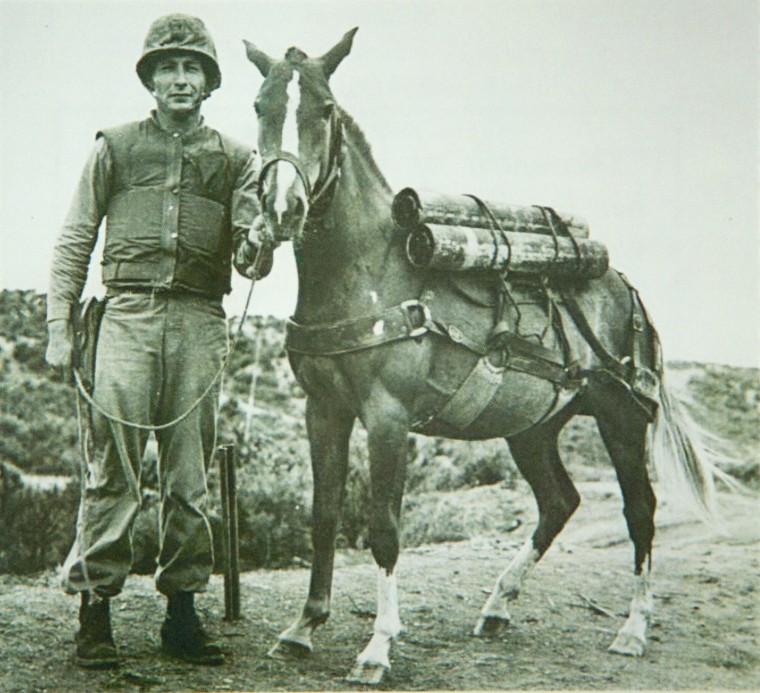 Reckless with her main caretaker, US Marine Sergeant Joseph Latham.