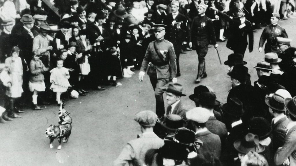 Stubby marched through many parades