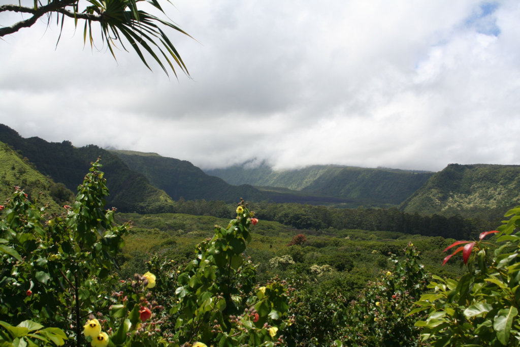 Wailua Valley State Wayside.