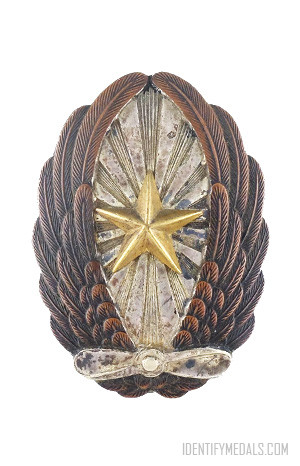The Army Officer Pilot Badge