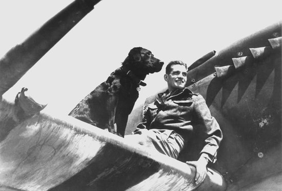 Top 10 Flying Aces of the United Kingdom RAF during World War II