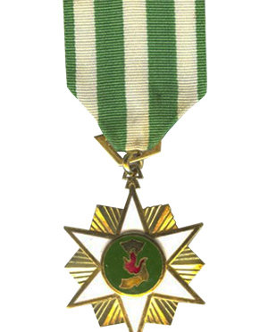 The South Vietnam Campaign Medal