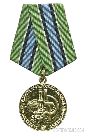 USSR Post-WW2 Medals: The Medal for the Tapping of the Subsoil and Expansion of the Petrochemical Complex of Western Siberia