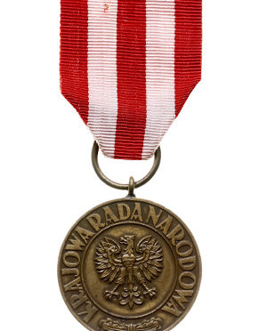 The Medal of Victory and Freedom 1945