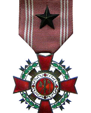 The Order of Military Merit (South Korea)