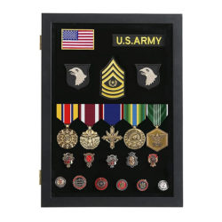 Pin and Badge Display Case with UV Protection