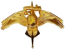 U.S. Marine Corps Breast Insignia: Special Operator Insignia.