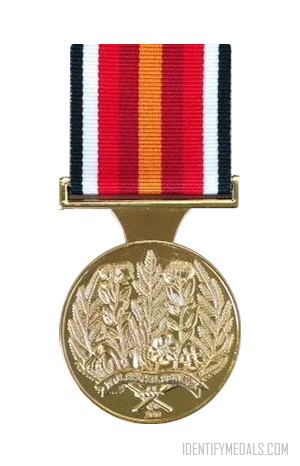 The New Zealand Special Service Medal - New Zealand Medals