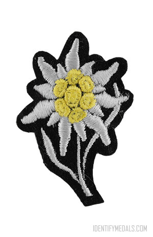 The SS Edelweiss Cap Badge - Nazi German Awards - WW2
