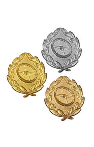 The Driver Proficiency Badge - Nazi German Badges & Medals