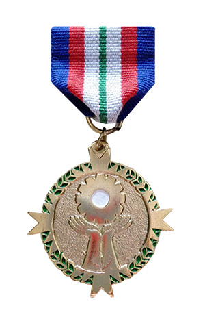 The Military Civic Action Medal