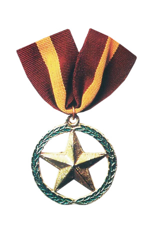 The Outstanding Achievement Medal - Filipino Medals & Awards