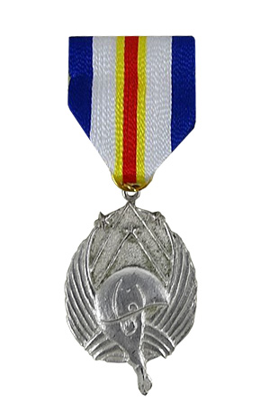 The Silver Wing Medal