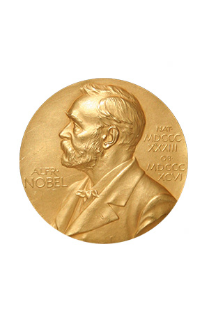 The Nobel Prize Medal